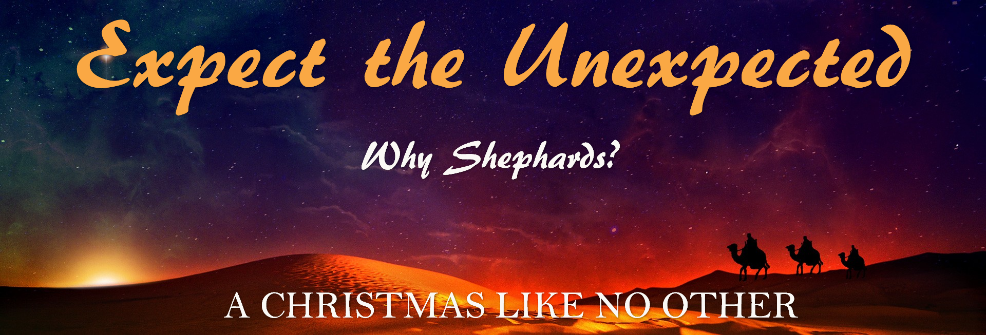 Expect the Unexpected Christmas Website Banner