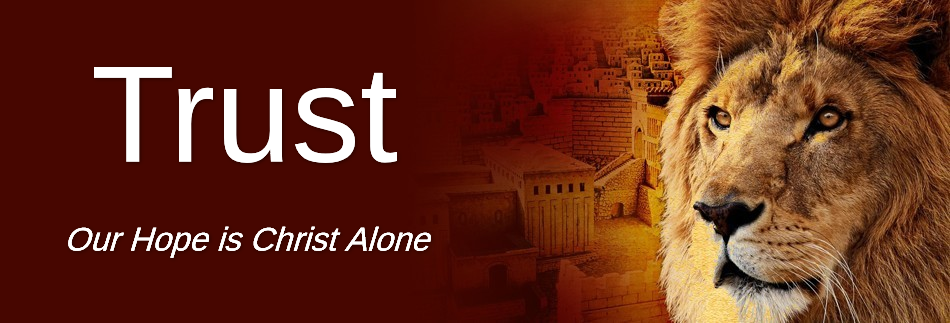 Jerusalem Lion Website Banner