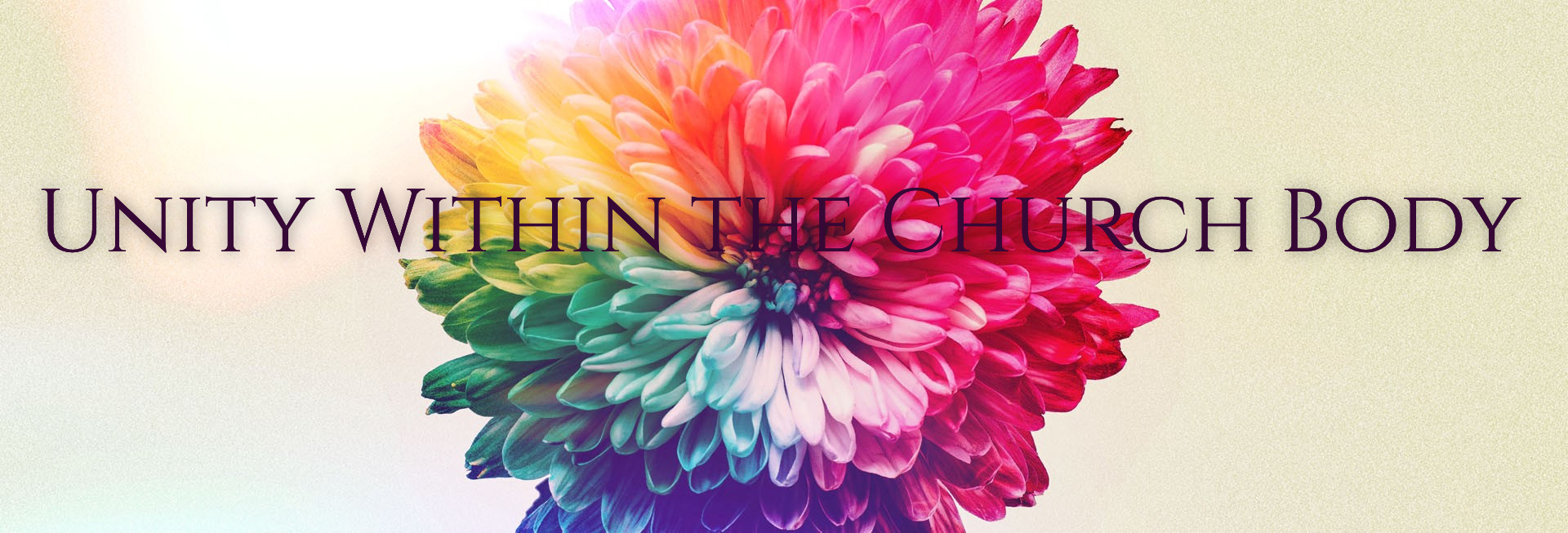 Women's Bible Study Church Website Banner